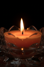 Macro flame portrait
