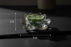 Scale & size — 2 in × 5 in
